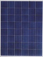 Yingli_YL155